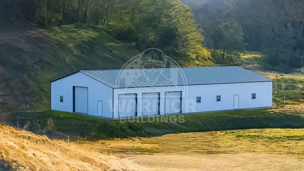 50x100x12 Industrial Warehouse Building